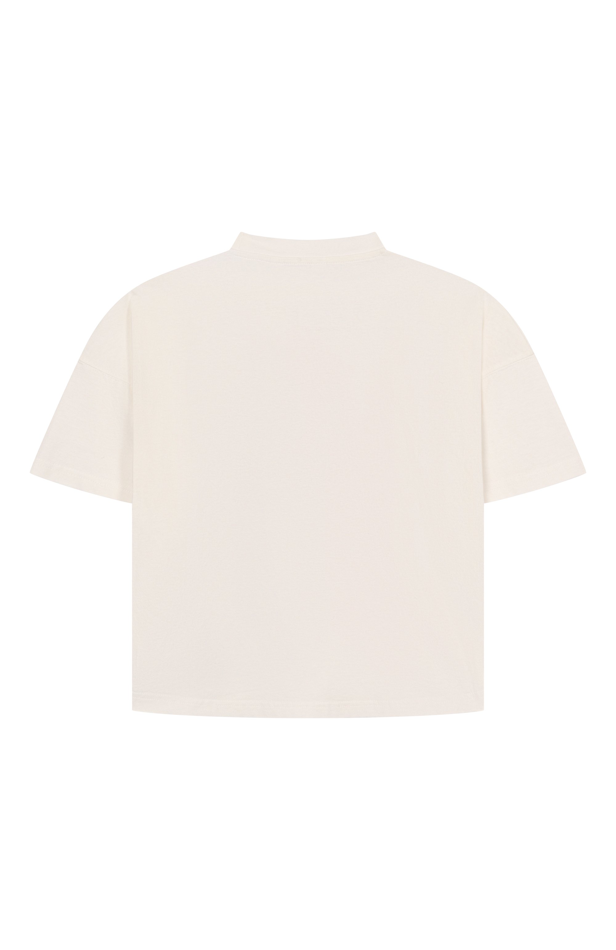 Хлопковая футболка PALM ANGELS, арт. PBAA002F25JER002, фото 2