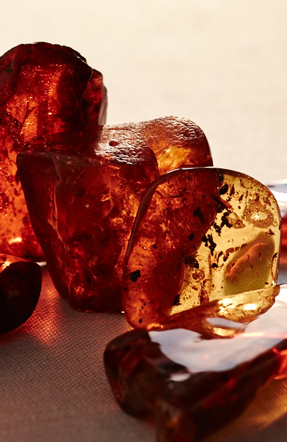 Парфюмерная вода collection orange flower (100ml) RALPH LAUREN, арт. 3605970595883, фото 5