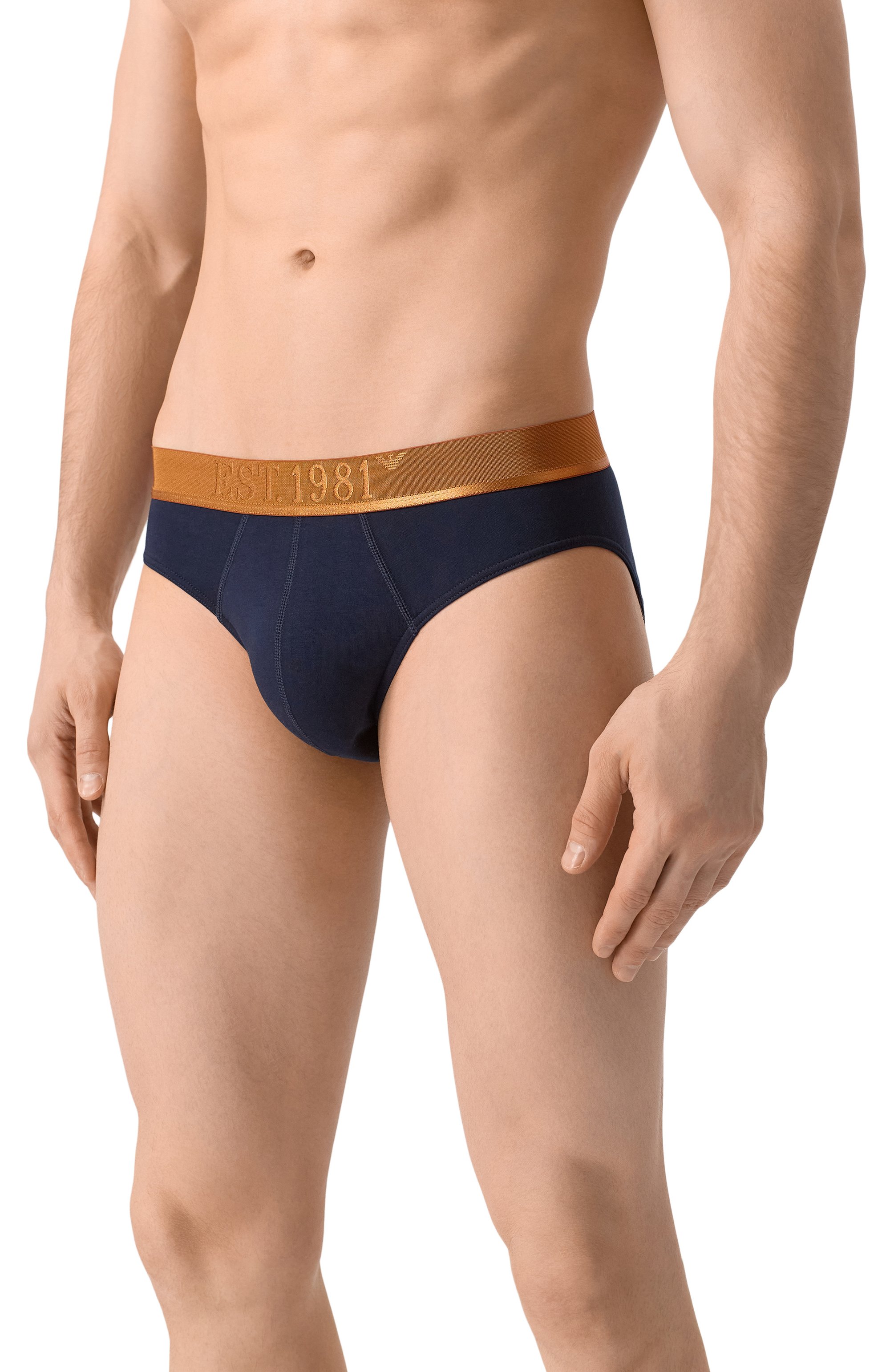 Комплект из трех брифов EMPORIO ARMANI разноцветного цвета по цене 6895 руб., арт. EM000258/AF10780, фото 6 Комплект из трех брифов EMPORIO ARMANI, арт. EM000258/AF10780, фото 6