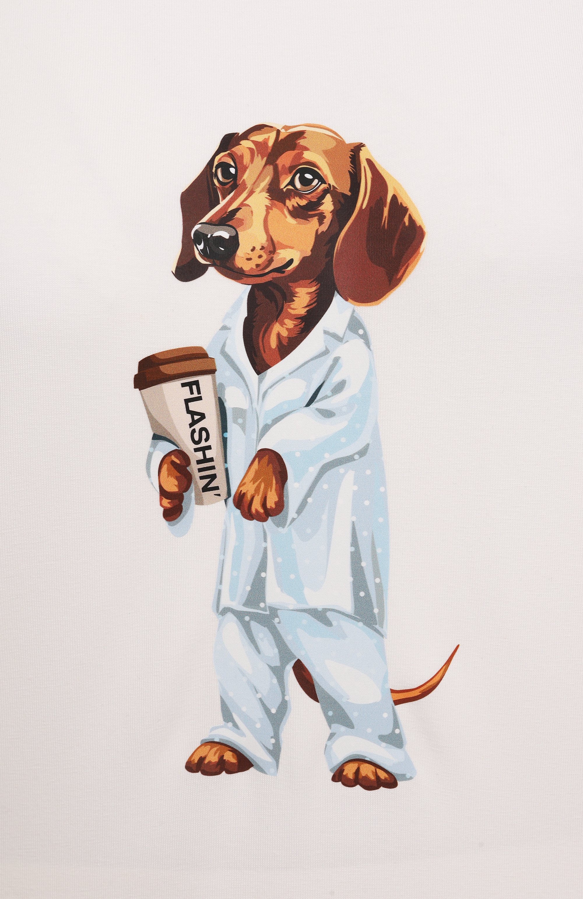 Хлопковый лонгслив FLASHIN, арт. FS26LST, фото 6