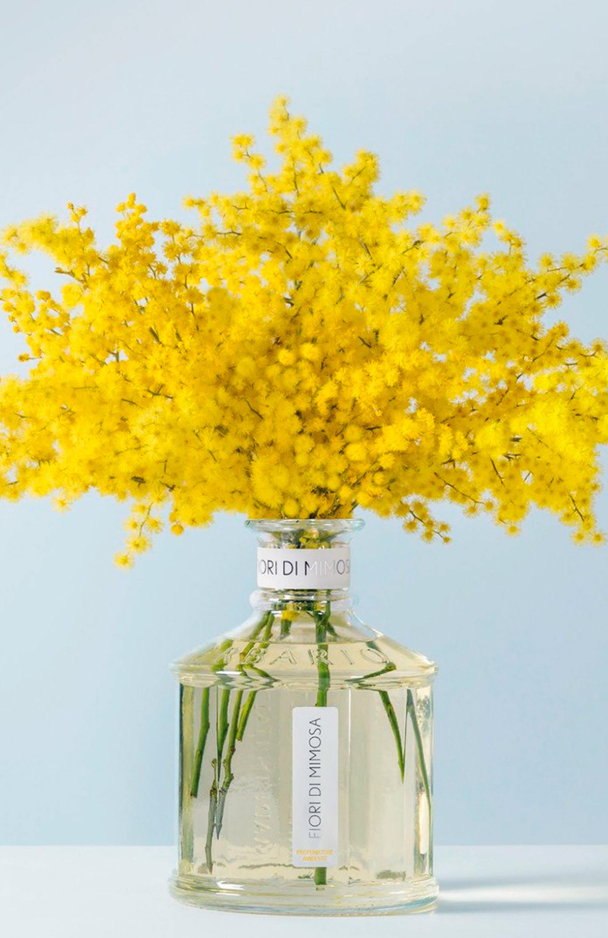 Диффузор fiori di mimosa (500ml) ERBARIO TOSCANO бесцветного цвета по цене 15200 руб., арт. DA50FM, фото 4 Диффузор fiori di mimosa (500ml) ERBARIO TOSCANO, арт. DA50FM, фото 4