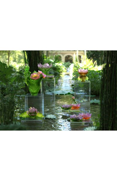 Ваза magnum jardin de lotus DAUM, арт. 05869, фото 5