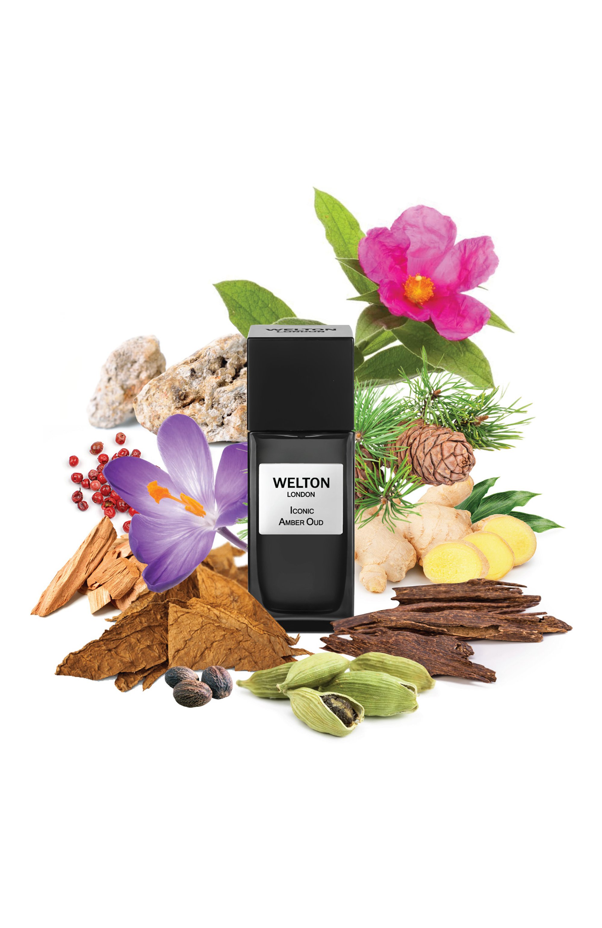 Парфюмерная вода iconic amber oud (50ml) WELTON LONDON, арт. 5055404702994, фото 2