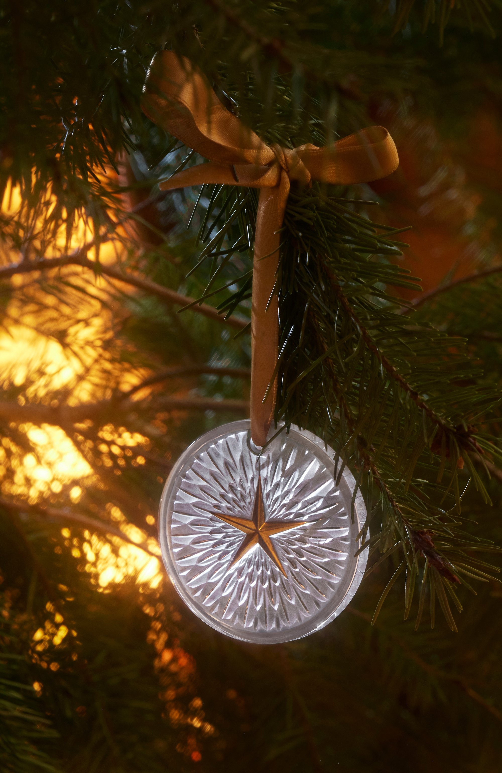 Рождественский медальон plumes LALIQUE, арт. 10790000, фото 2