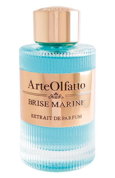 Мужской духи brise marine (100ml) ARTEOLFATTO, арт. 8058669882002