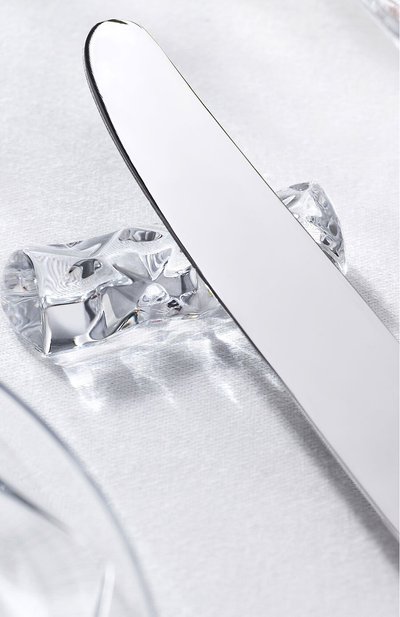 Набор из двух подставок для палочек и приборов bambou BACCARAT прозрачного цвета по цене 17100 руб., арт. 2 814 031, фото 2 Набор из двух подставок для палочек и приборов bambou BACCARAT, арт. 2 814 031, фото 2