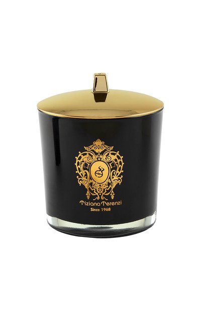 Foco свеча с ароматом духов maremma (500g) TIZIANA TERENZI, арт. 8016741502361
