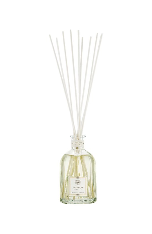 фото Диффузор ginger lime (2500ml) dr. vranjes firenze