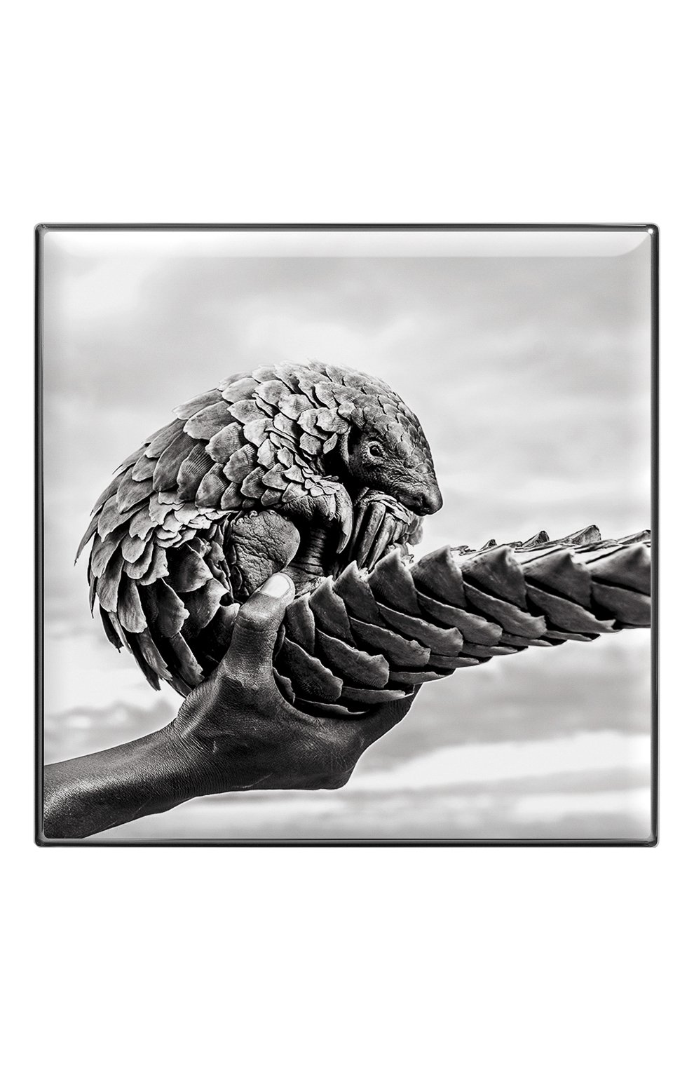 Тени для век luminescent eye shade, оттенок pangolin CHANTECAILLE, арт. 656509172054, фото 2