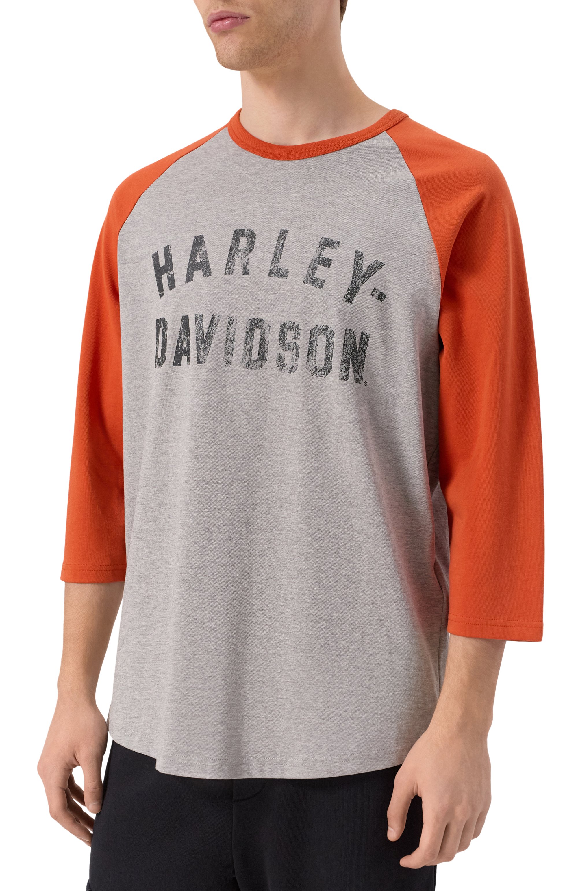 Хлопковый лонгслив HARLEY-DAVIDSON разноцветного цвета по цене 33920 руб., арт. 96076-23VM, фото 3 Хлопковый лонгслив HARLEY-DAVIDSON, арт. 96076-23VM, фото 3