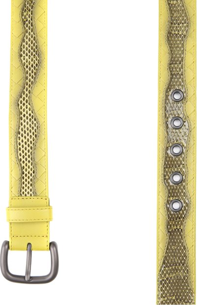 Ремень с отделкой из кожи змеи BOTTEGA VENETA, арт. 367846/VAPX1, фото 2