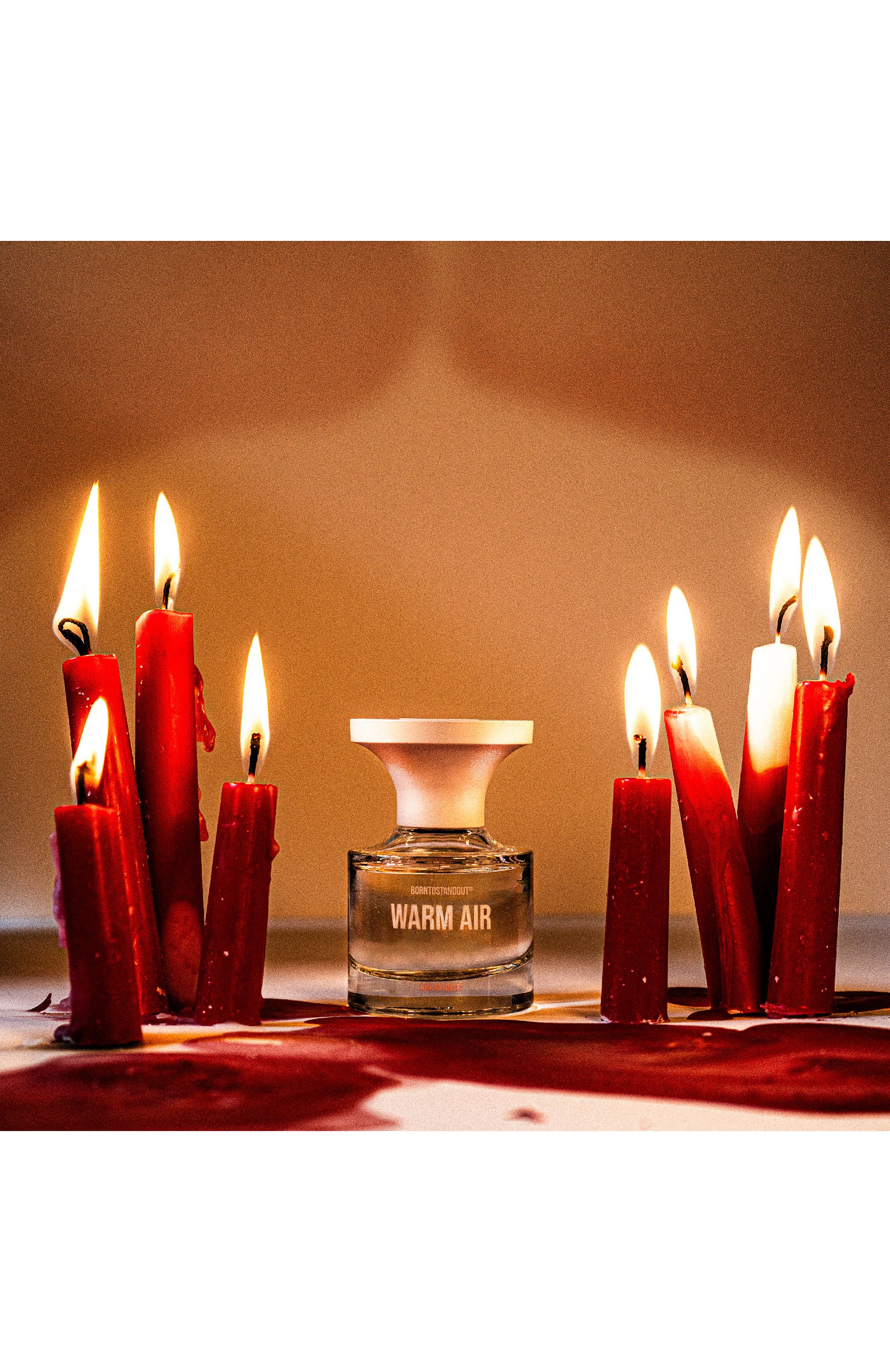 Туалетная вода warm air (30ml) BORNTOSTANDOUT, арт. BTSOWAEI30, фото 3