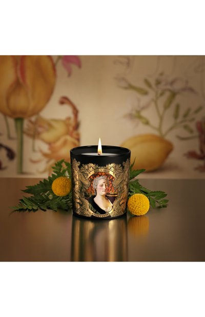 Ароматизированная свеча the vision (240g) CORETERNO, арт. CORAPH13, фото 3