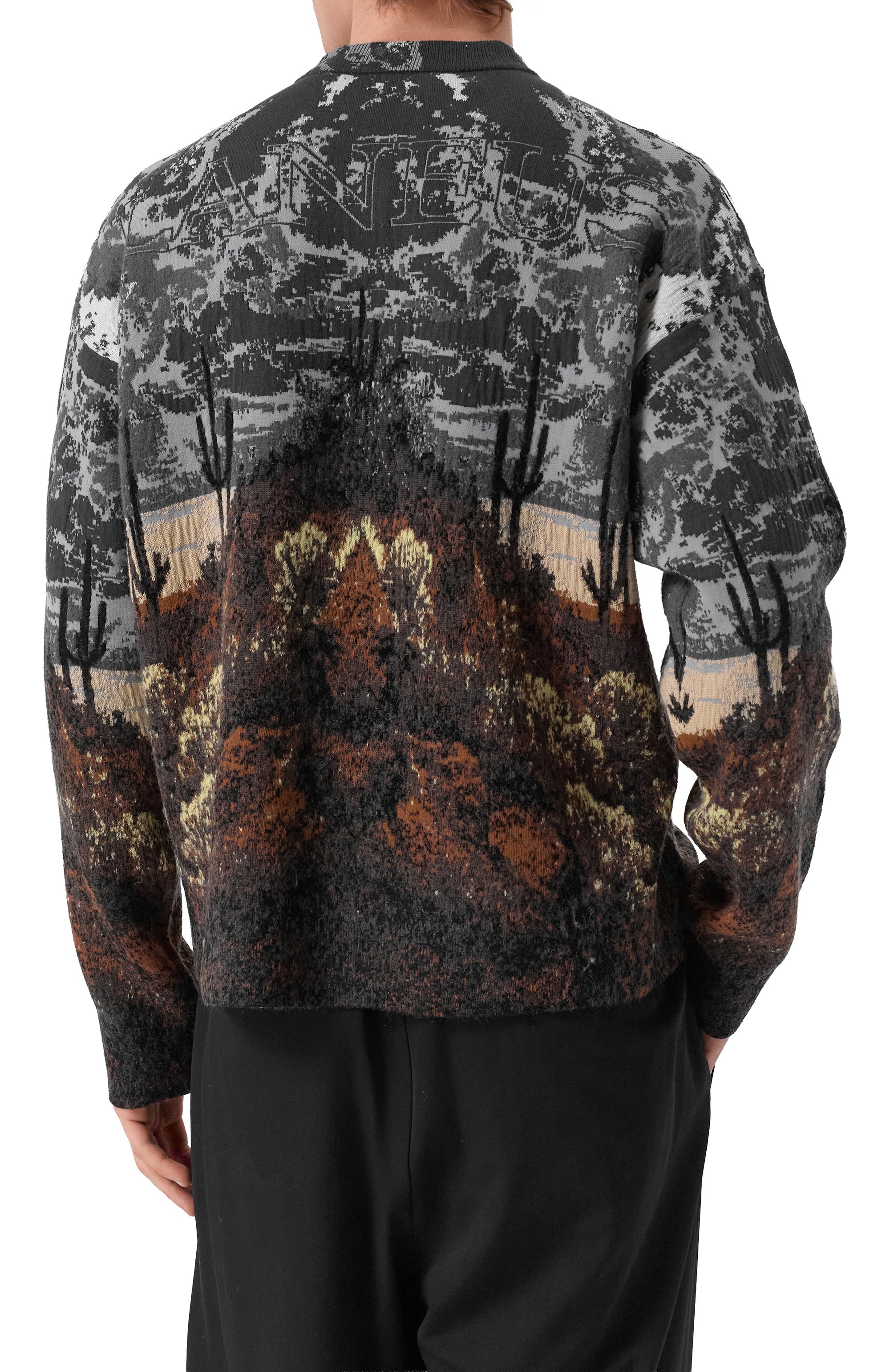 Джемпер из хлопка и шерсти LANEUS, арт. F5LAMAJP170, фото 4