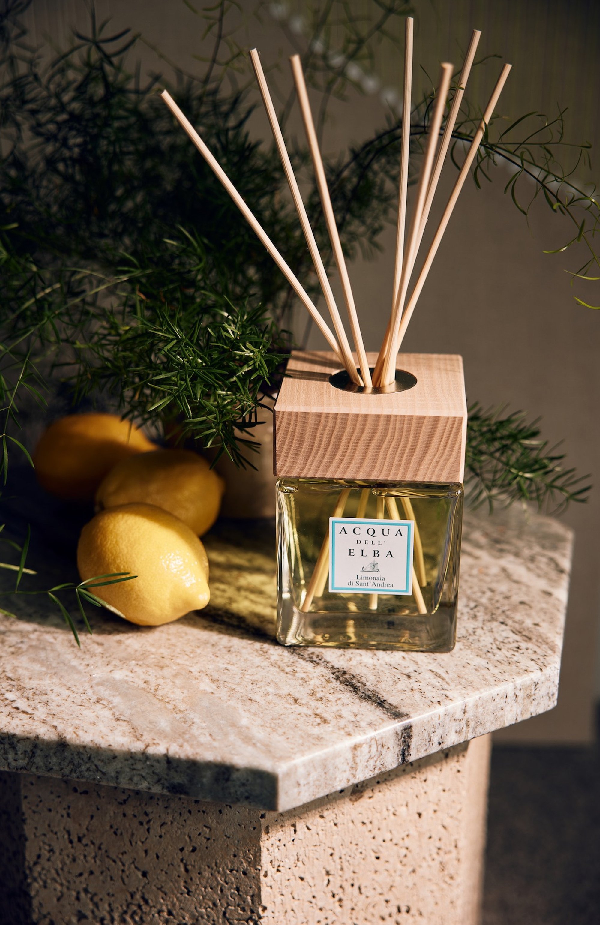 Диффузор limonaia di sant’andrea (1000ml) ACQUA DELL ELBA, арт. 8032758536199, фото 2
