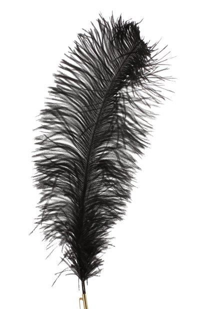 Брошь DRIES VAN NOTEN, арт. 201-18708-900, фото 3