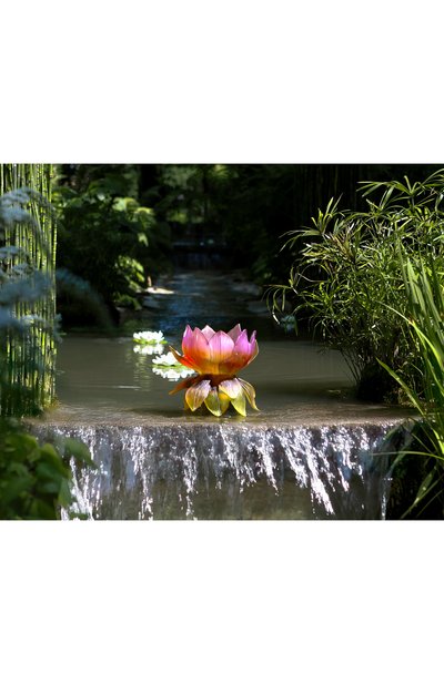 Ваза medium jardin de lotus DAUM, арт. 05866, фото 2