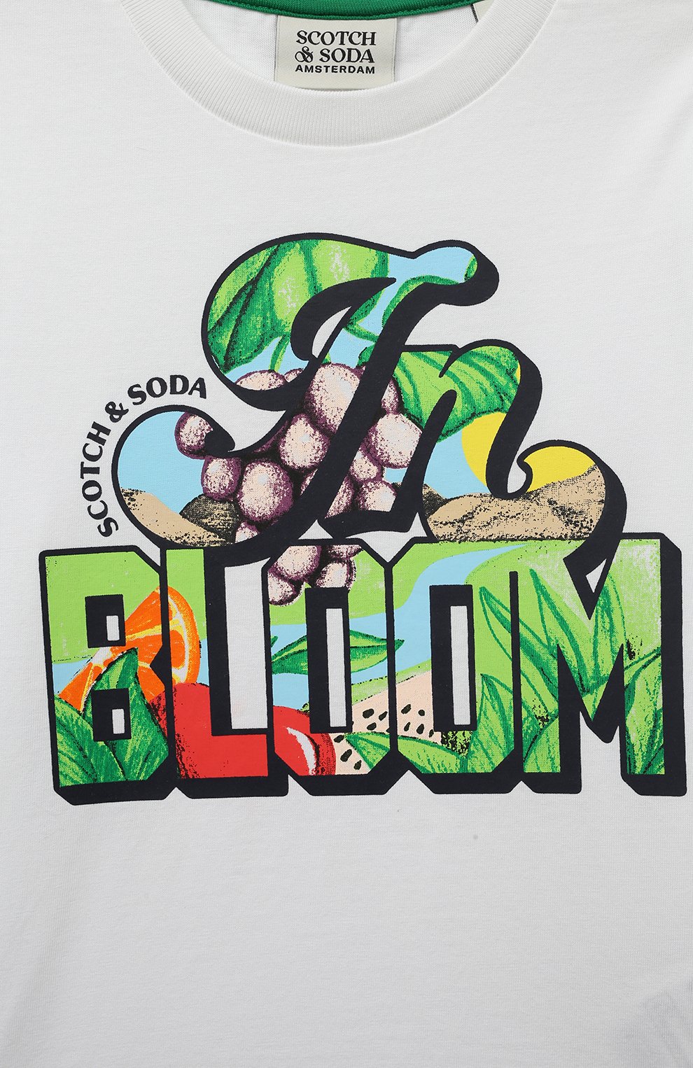 Хлопковая футболка SCOTCH AND SODA, арт. 170554-23-SSBM-D51, фото 3