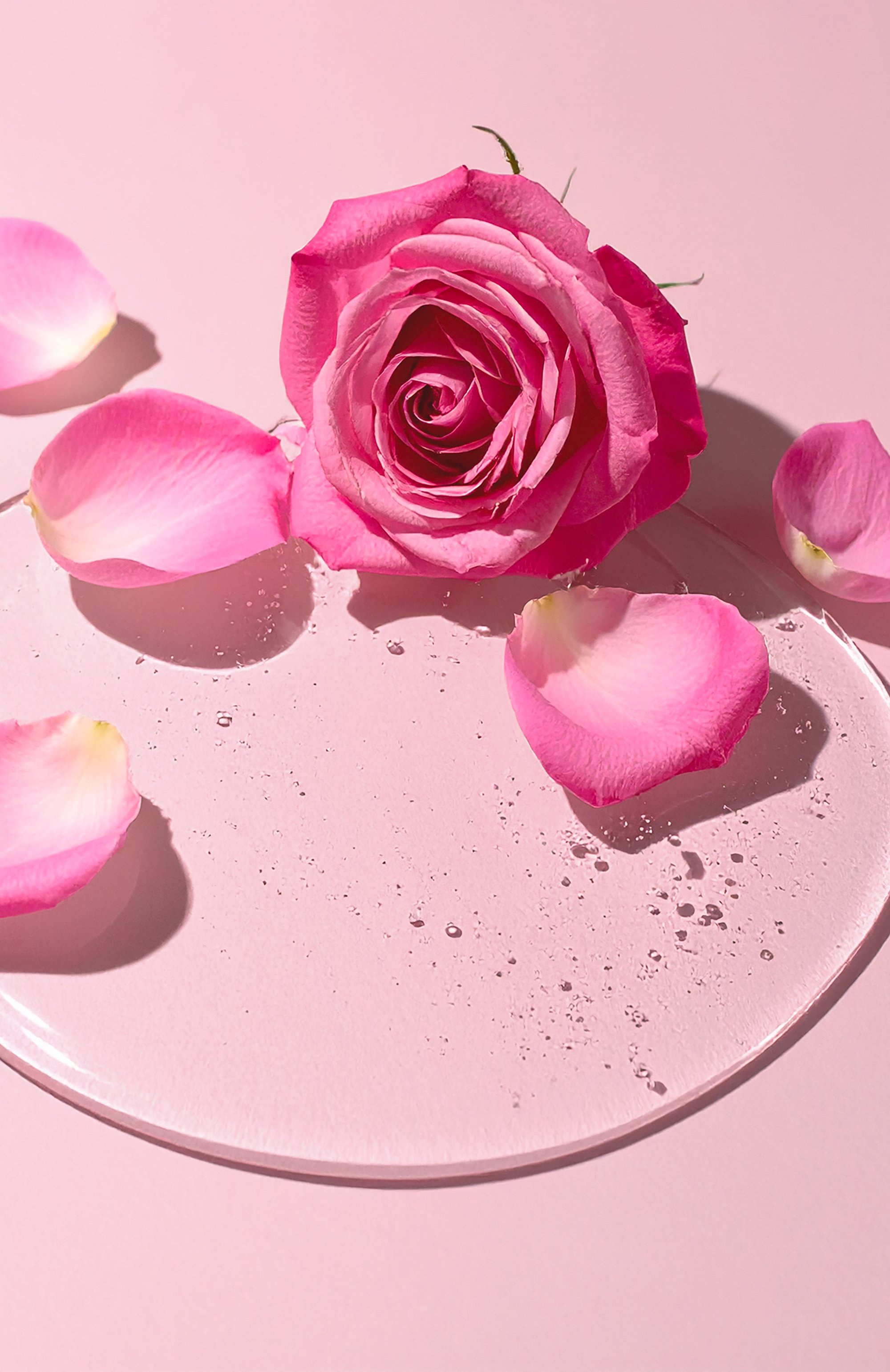 Масло для губ baume de rose, оттенок 2 dazzling rose (4,5ml) BY TERRY, арт. 3700076463866, фото 7