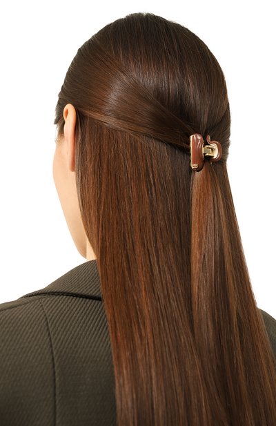 Заколка для волос ALEXANDRE DE PARIS, арт. ICCB-12831-02P23 OH, фото 2