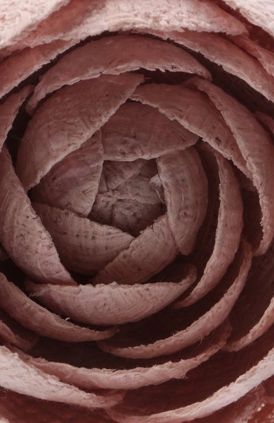 Брошь FLOWER ME, арт. CMML-WL016010L, фото 4