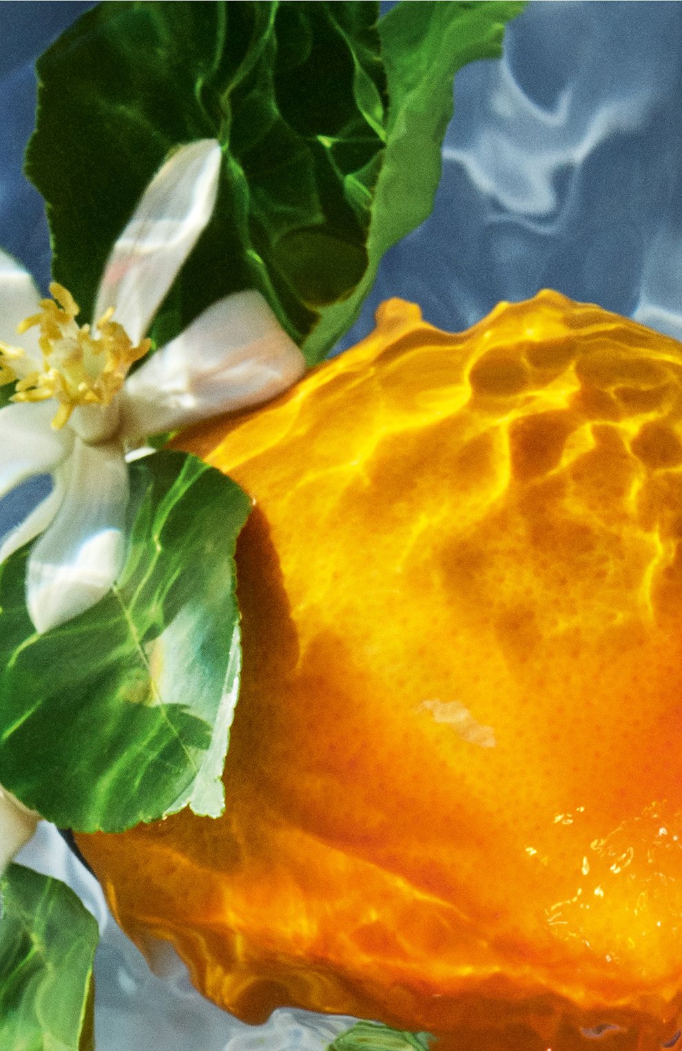 Туалетная вода aqua allegoria orange soleia (75ml) GUERLAIN, арт. G013957, фото 3