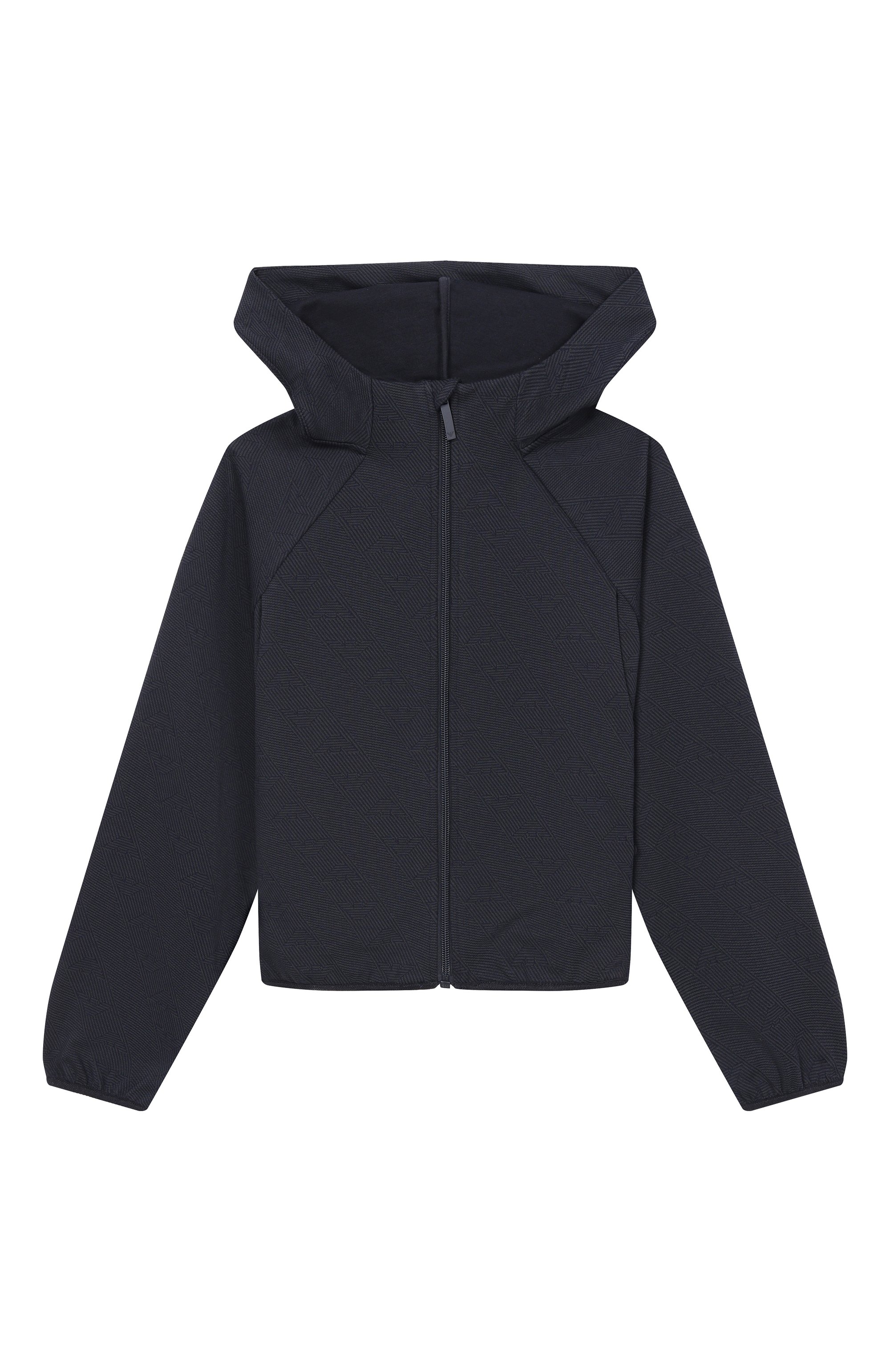 Толстовка EMPORIO ARMANI, арт. EG000630/AF20698, фото 1