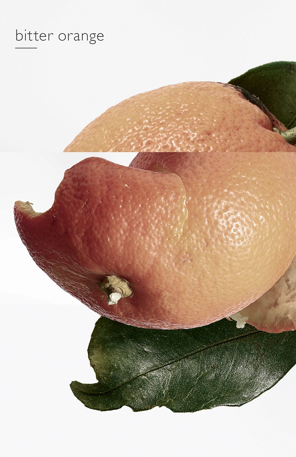 Туалетная вода eau des merveilles (100ml) HERMÈS, арт. 200481H, фото 4