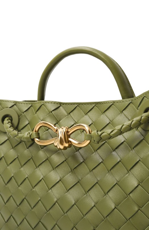 Сумка Andiamo small Bottega Veneta 766014/VCPP1 Зелёный  766014/VCPP1 Фото 3