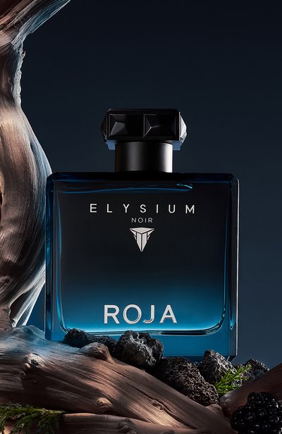 Парфюмерная вода elysium noir (100ml) ROJA PARFUMS, арт. RD3041, фото 4