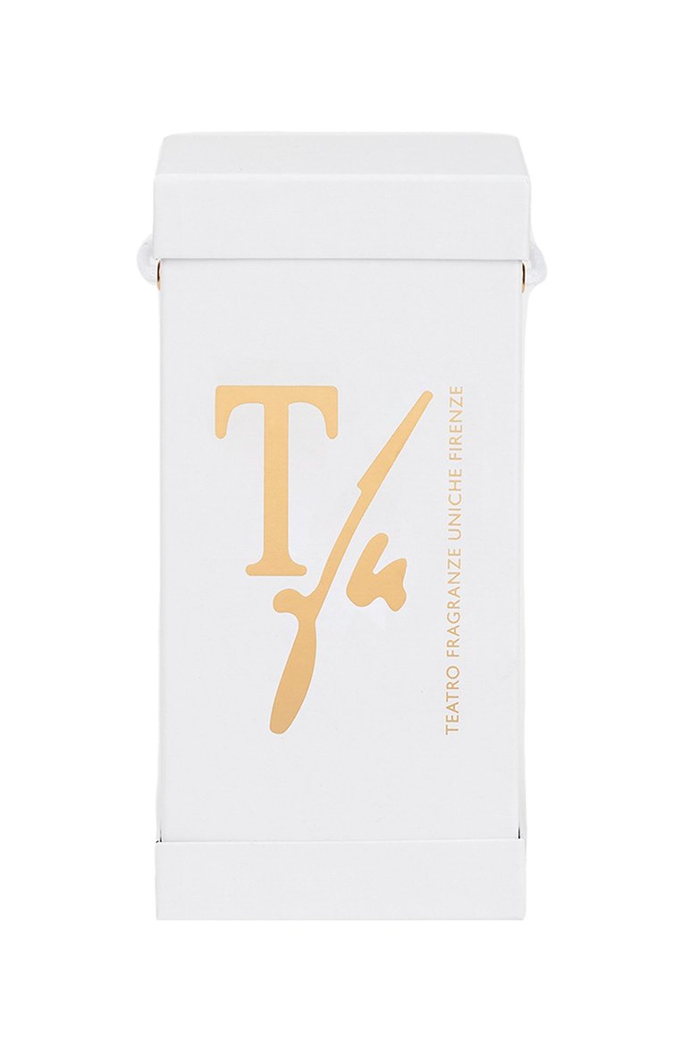 Диффузор polvere d'iris (1500ml) TEATRO бесцветного цвета, арт. PI1500VTRTFU | Фото 2 (Региональные ограничения белый список (Axapta Mercury): Не проставлено; Нос: Не проставлено; Ограничения доставки: flammable)