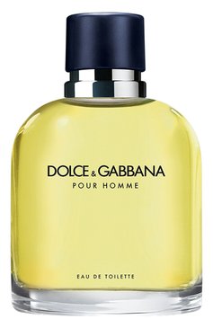 Мужской туалетная вода pour homme (125ml) DOLCE & GABBANA бесцветного цвета, арт. 3423473020776 | Фото 1 (Нос: Не проставлено; Региональные ограничения белый список (Axapta Mercury): Не проставлено; Тип продукта - парфюмерия: Туалетная вода; Тип аромата: Фужерный; Ограничения доставки: flammable)