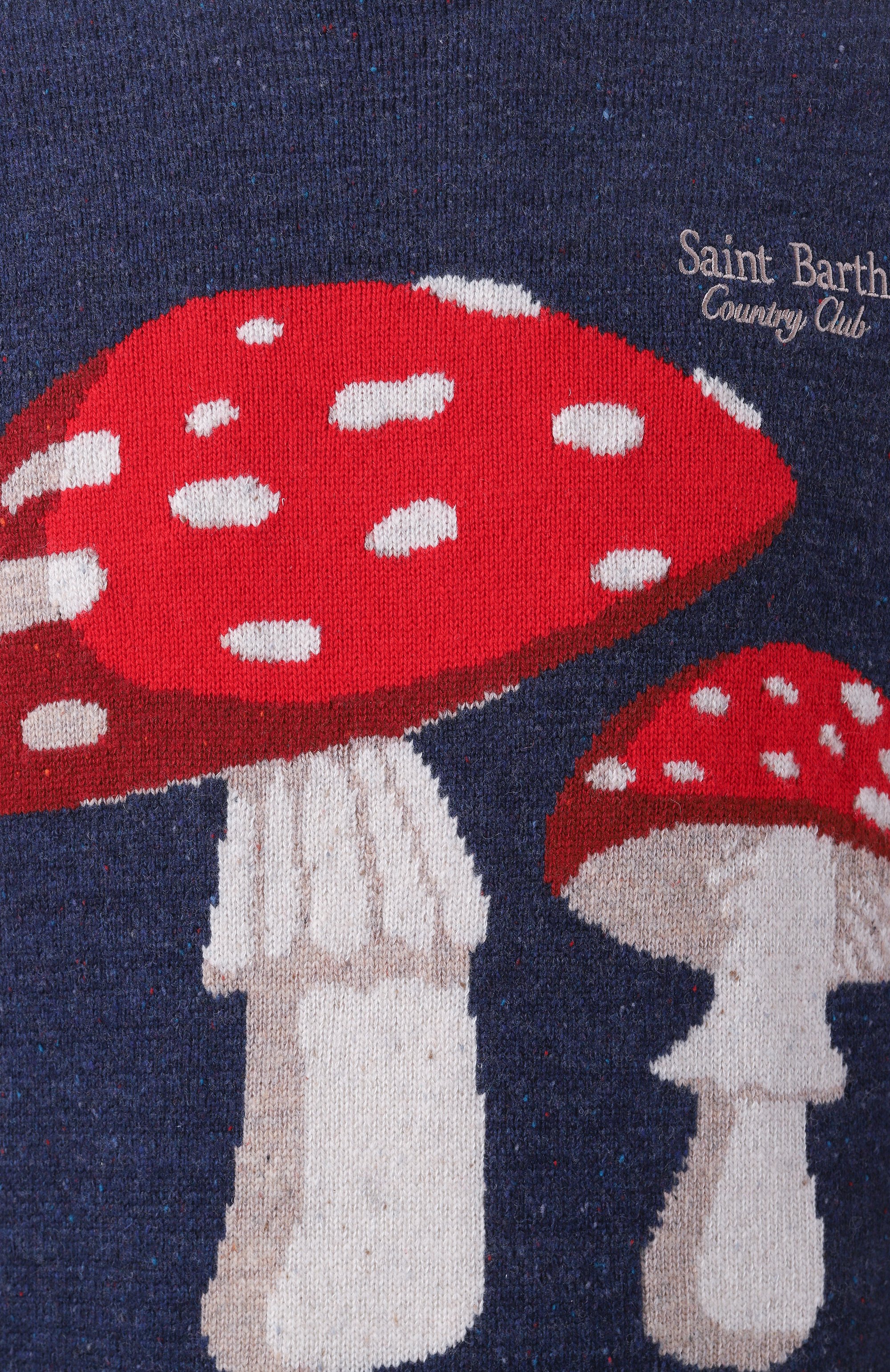 Джемпер из шерсти и вискозы MC2 SAINT BARTH, арт. STBM HER0N/HER0001/01846C, фото 6