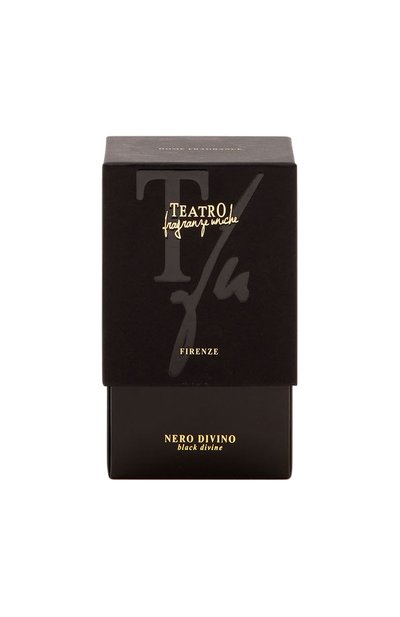 Диффузор nero divino (250ml) TEATRO, арт. ND250TFU, фото 2