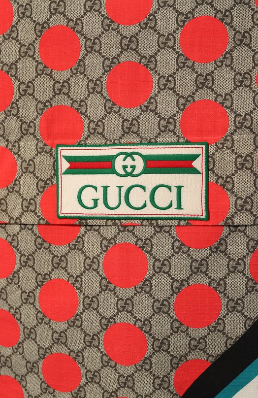 фото Ветровка the north face x gucci gucci