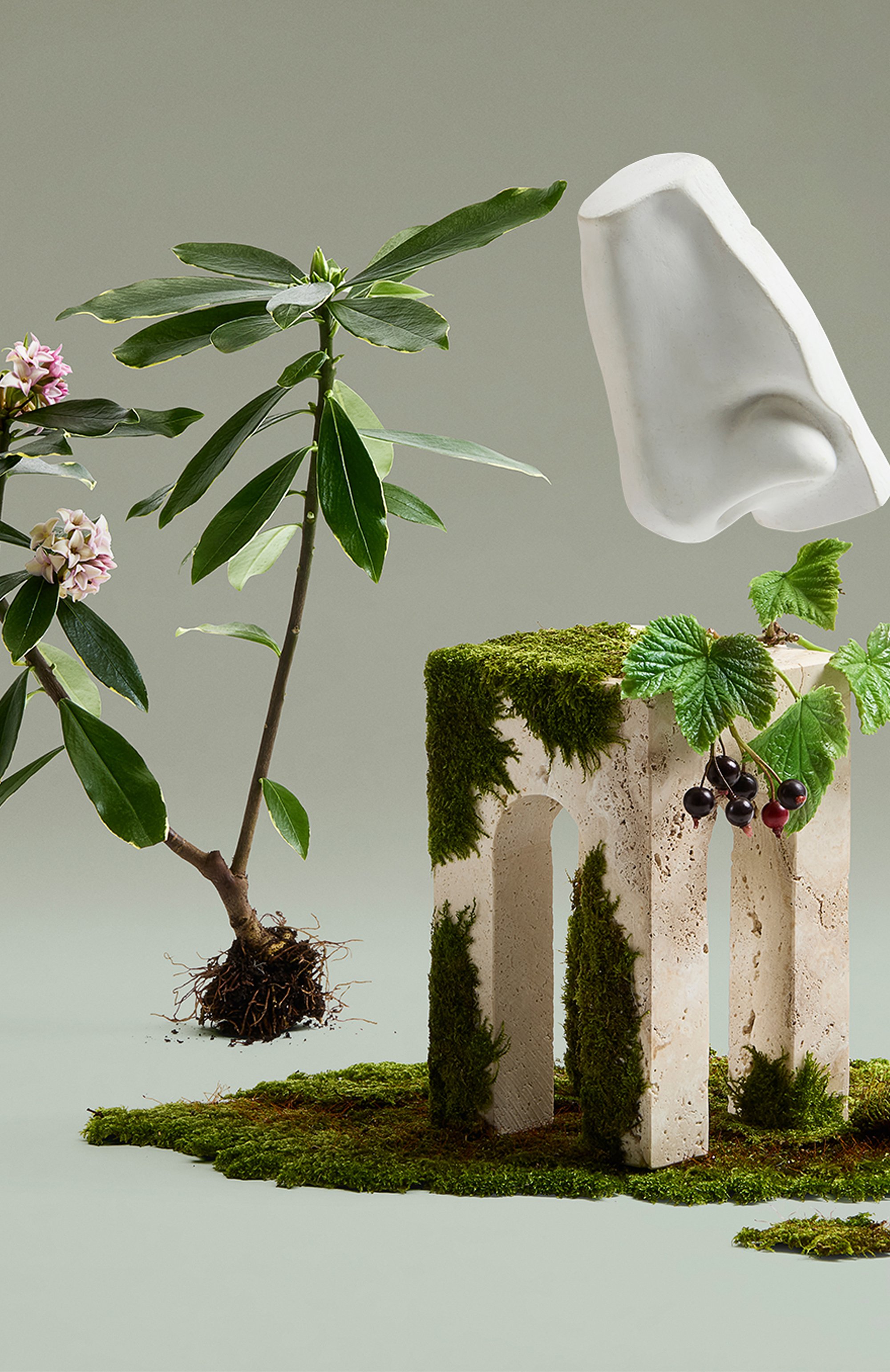 Парфюмерная вода daphne bouquet (100ml) PENHALIGON'S, арт. 5056245046827, фото 3