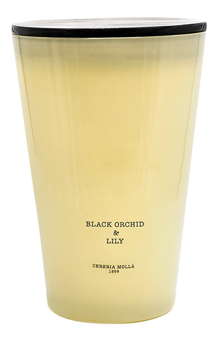 Свеча black orchid & lily (7000g) CERERIA MOLLA 1899 бесцветного цвета, арт. 8424405007969 | Фото 1 (Региональные ограничения белый список (Axapta Mercury): Не проставлено; Нос: Не проставлено; Ограничения доставки: flammable)