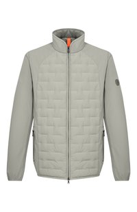 Светло-зеленый