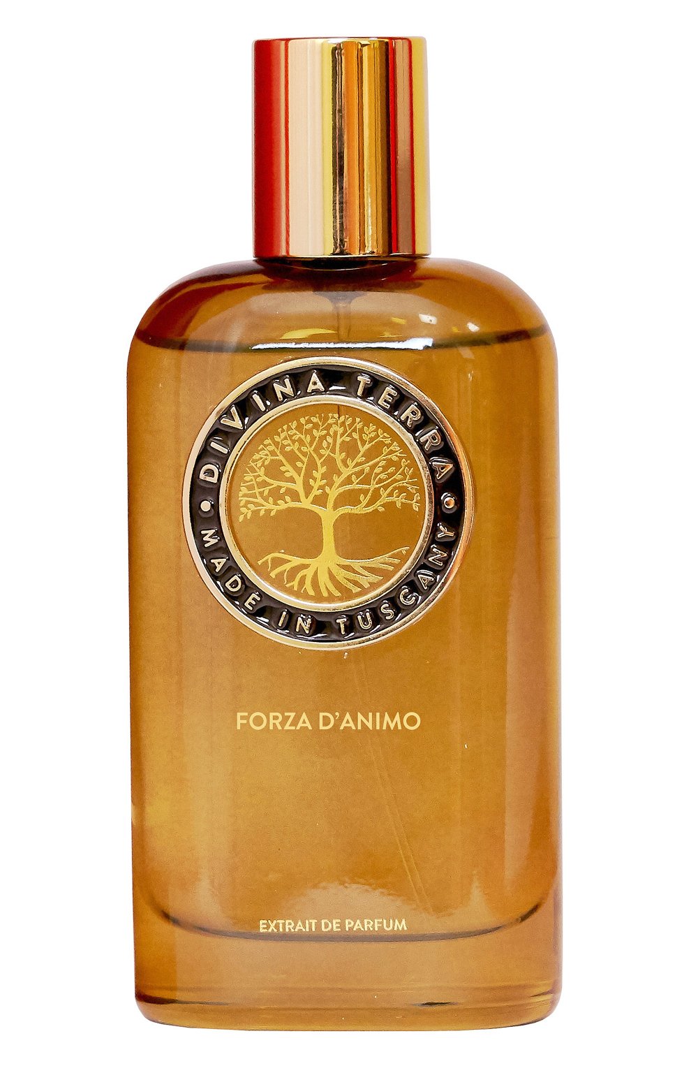 Духи forza d'animo (100ml) DIVINA TERRA, арт. 8016741172625, фото 1