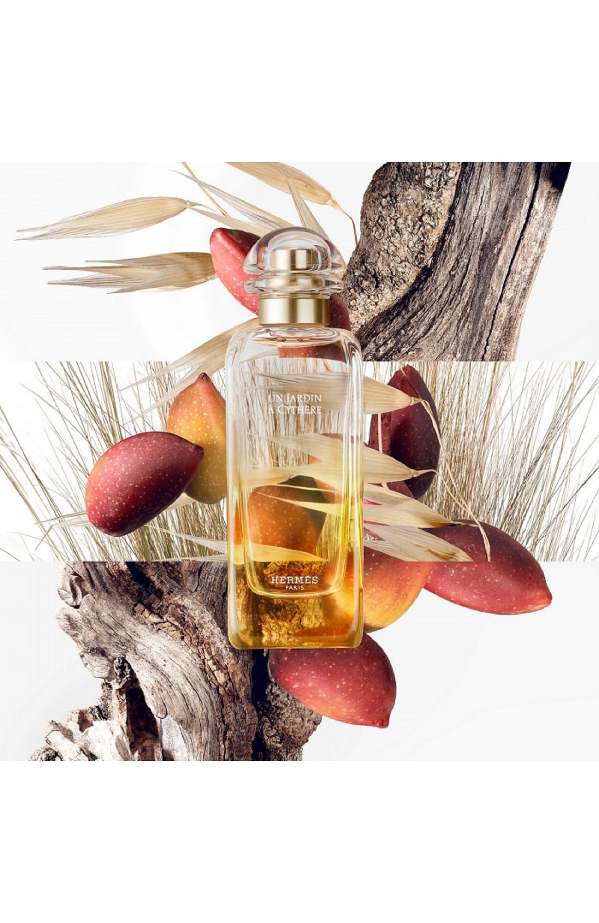 Туалетная вода un jardin à cythère (100ml) HERMÈS, арт. 3346130417262, фото 2