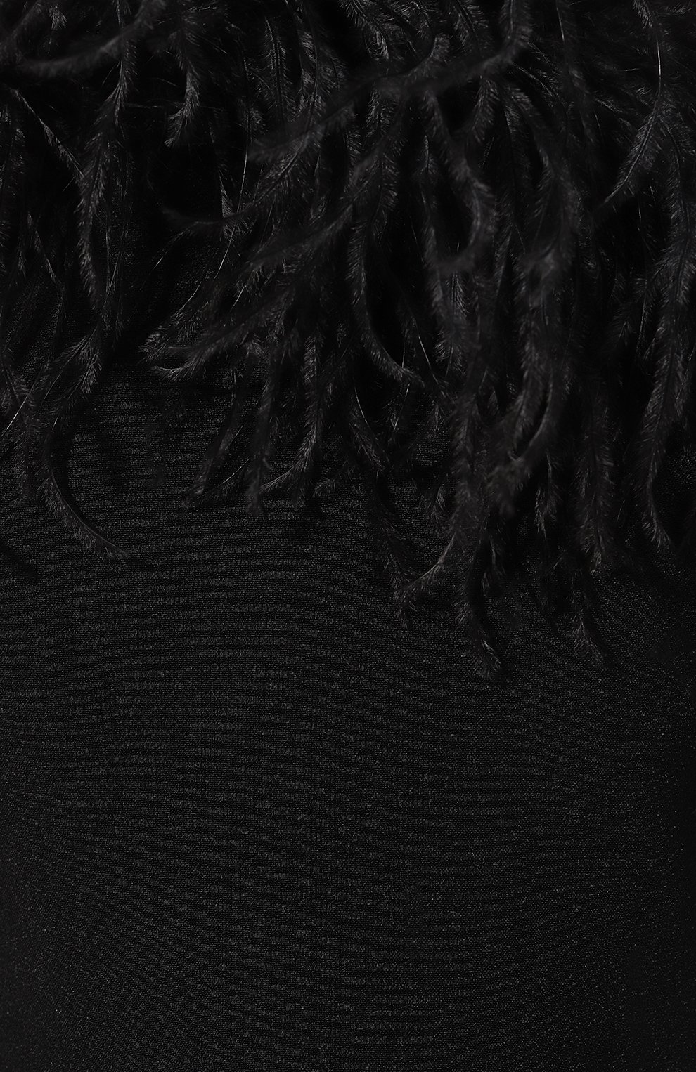 Платье с отделкой перьями P.A.R.O.S.H. черного цвета по цене 91900 руб., арт. PIC0-D725253P, фото 5 Платье с отделкой перьями P.A.R.O.S.H., арт. PIC0-D725253P, фото 5