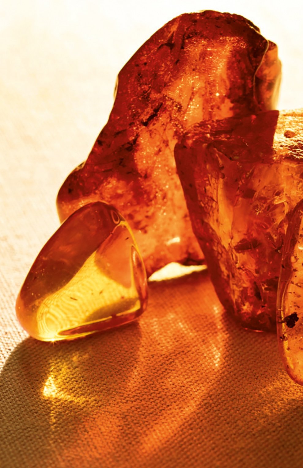 Парфюмерная вода collection amber (50ml) RALPH LAUREN, арт. 3605970625726, фото 3