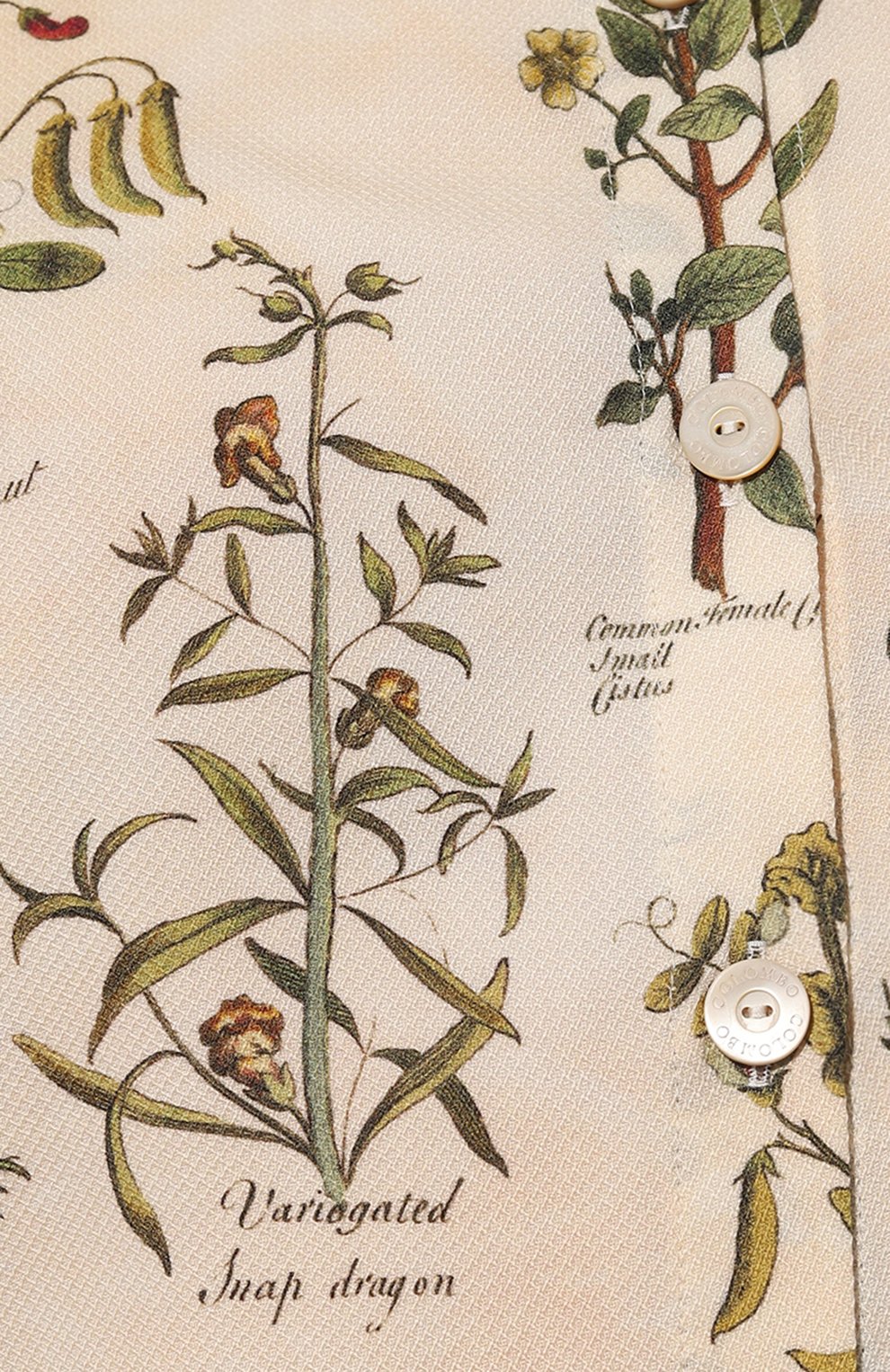 Блузка из кашемира и шелка COLOMBO, арт. CM00357/FSE, фото 5