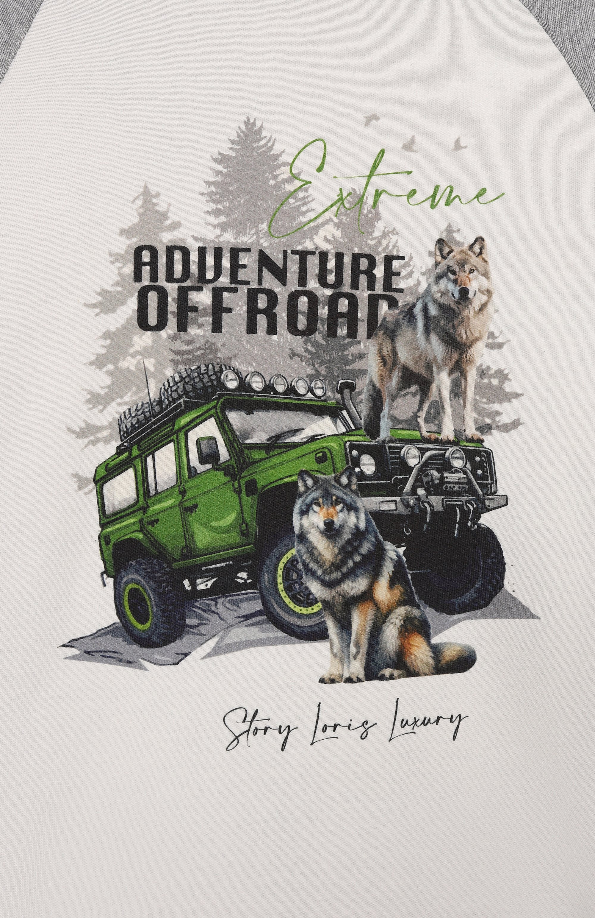 Хлопковая пижама STORY LORIS, арт. 17032/8-16, фото 6