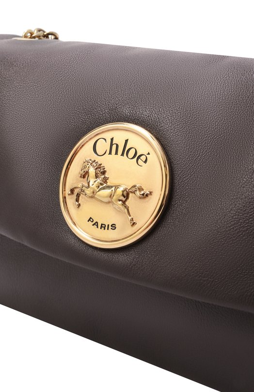 Сумка Chloé Heritage Chloé CHC25AS584P75 Коричневый  CHC25AS584P75 Фото 3