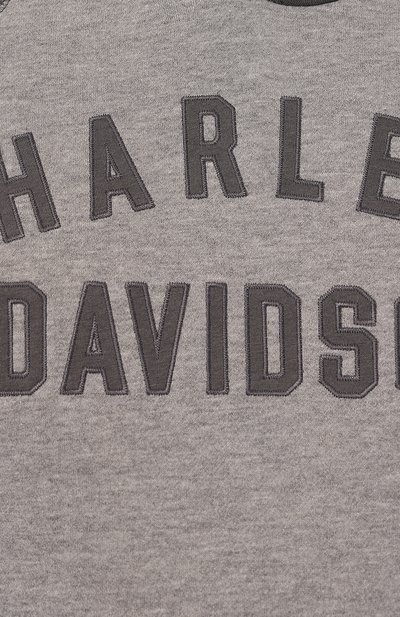 Худи HARLEY-DAVIDSON, арт. 96522-23VM, фото 5