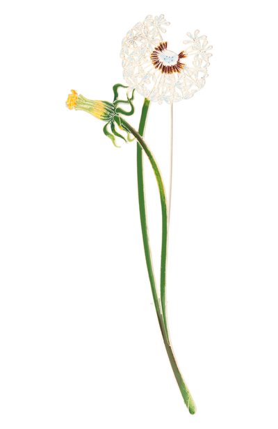 Брошь одуванчик РУССКИЕ САМОЦВЕТЫ, арт. 41551, фото 1