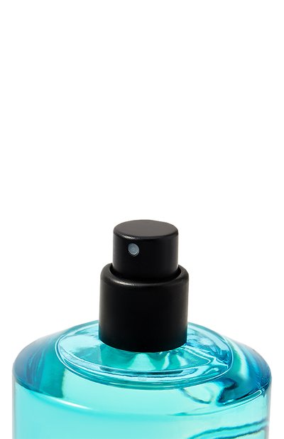 Парфюмерная вода fleuve tendre (100ml) LIQUIDES IMAGINAIRES, арт. 3770004394593, фото 2