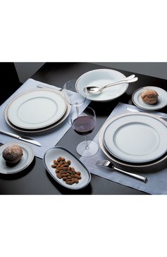 Блюдо для торта athena platine BERNARDAUD серебряного цвета, арт. 0448/121 | Фото 2 (Интерьер Кросс-КТ: Обеденная посуда; Нос: Не проставлено; Региональные ограничения белый список (Axapta Mercury): Не проставлено; Коллекция: Athena Platine; Ограничения доставки: fragile-2)