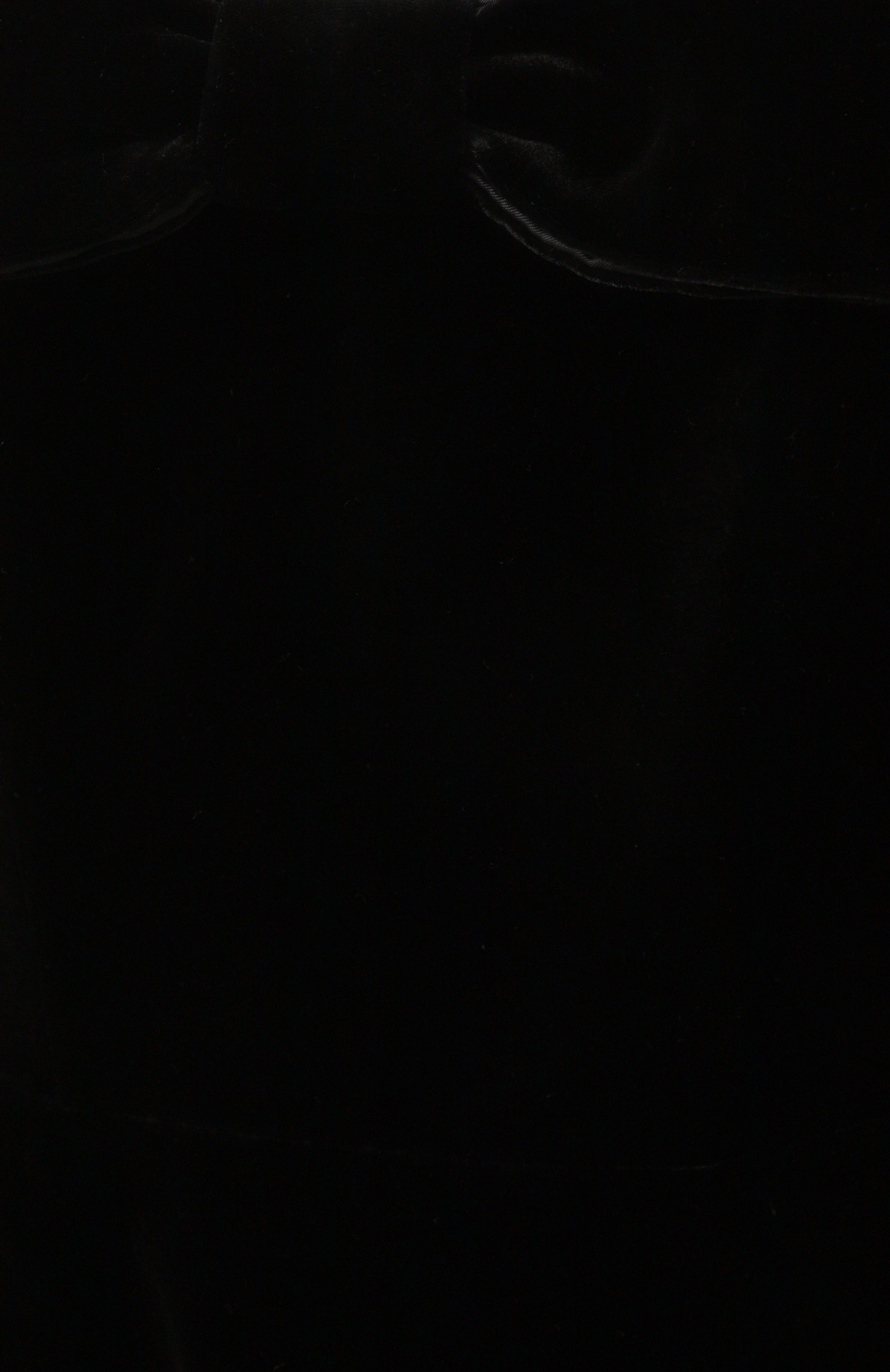 Бархатное платье YVON, арт. 0 140064, фото 6